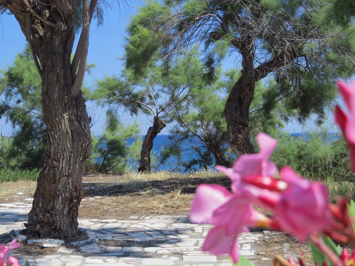 קיוטארי Loukas Beach Rooms מראה חיצוני תמונה